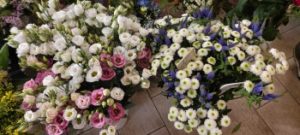 Schnittblumen Gärtnerei Frankfurt